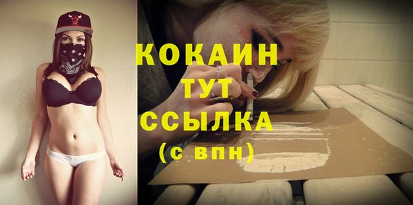 дурь Тавда