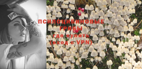 прущие крисы Белокуриха